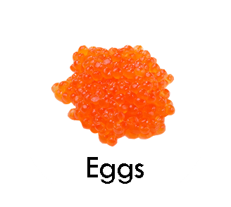Salmon eggs