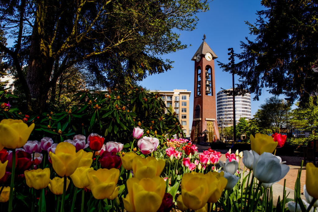 The Salmon Run Bell Tower in the distance with flowers and trees in the foreground.