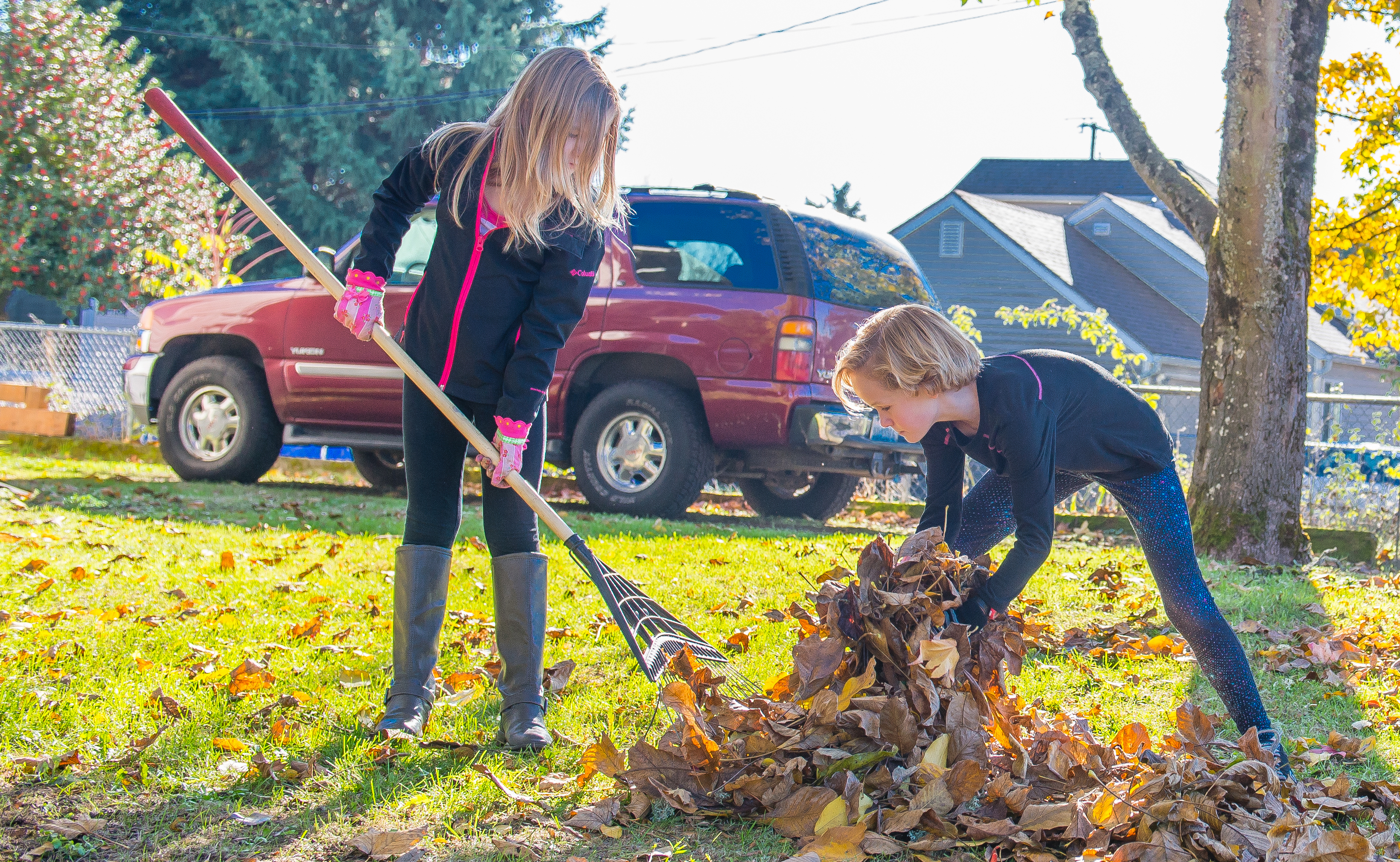 Leaf coupons