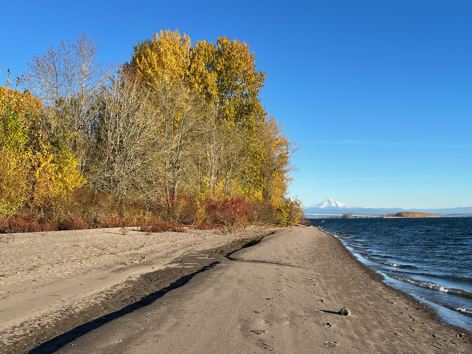 View of beach, Columbia River and mountain in the background during autumn