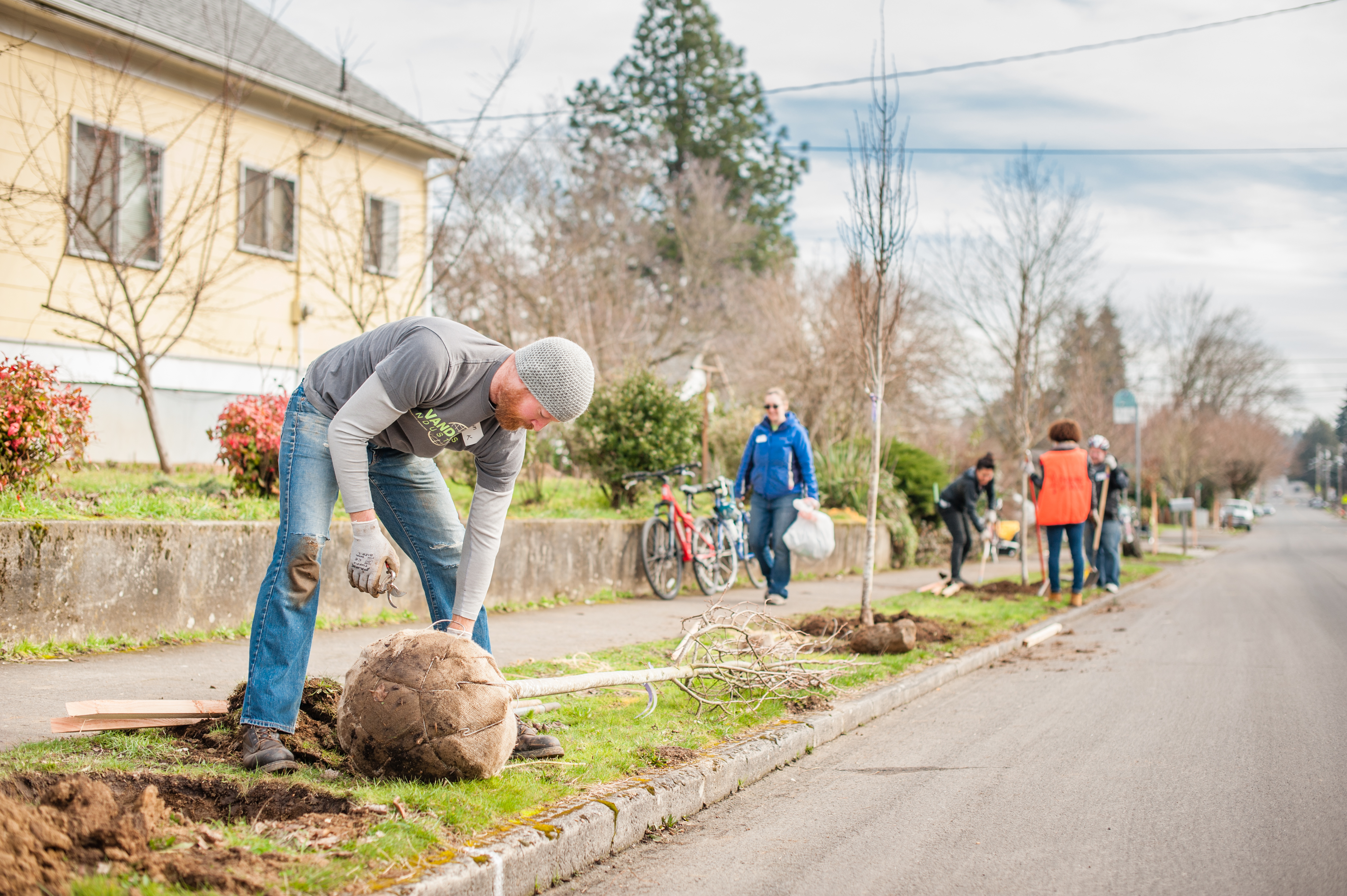 NE 39th Street Tree Planting