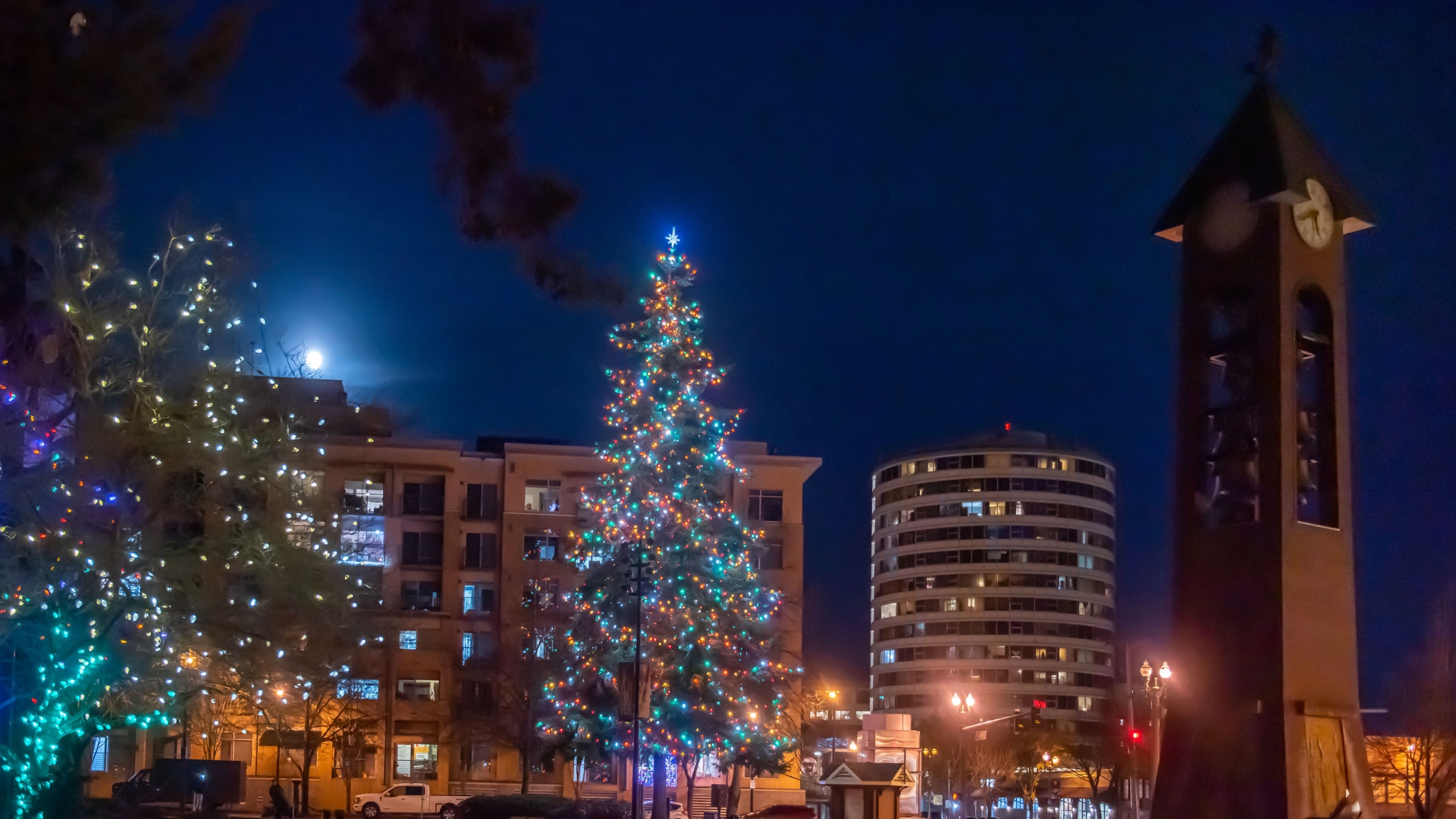 community tree lighting at Esther Short Park in the evening