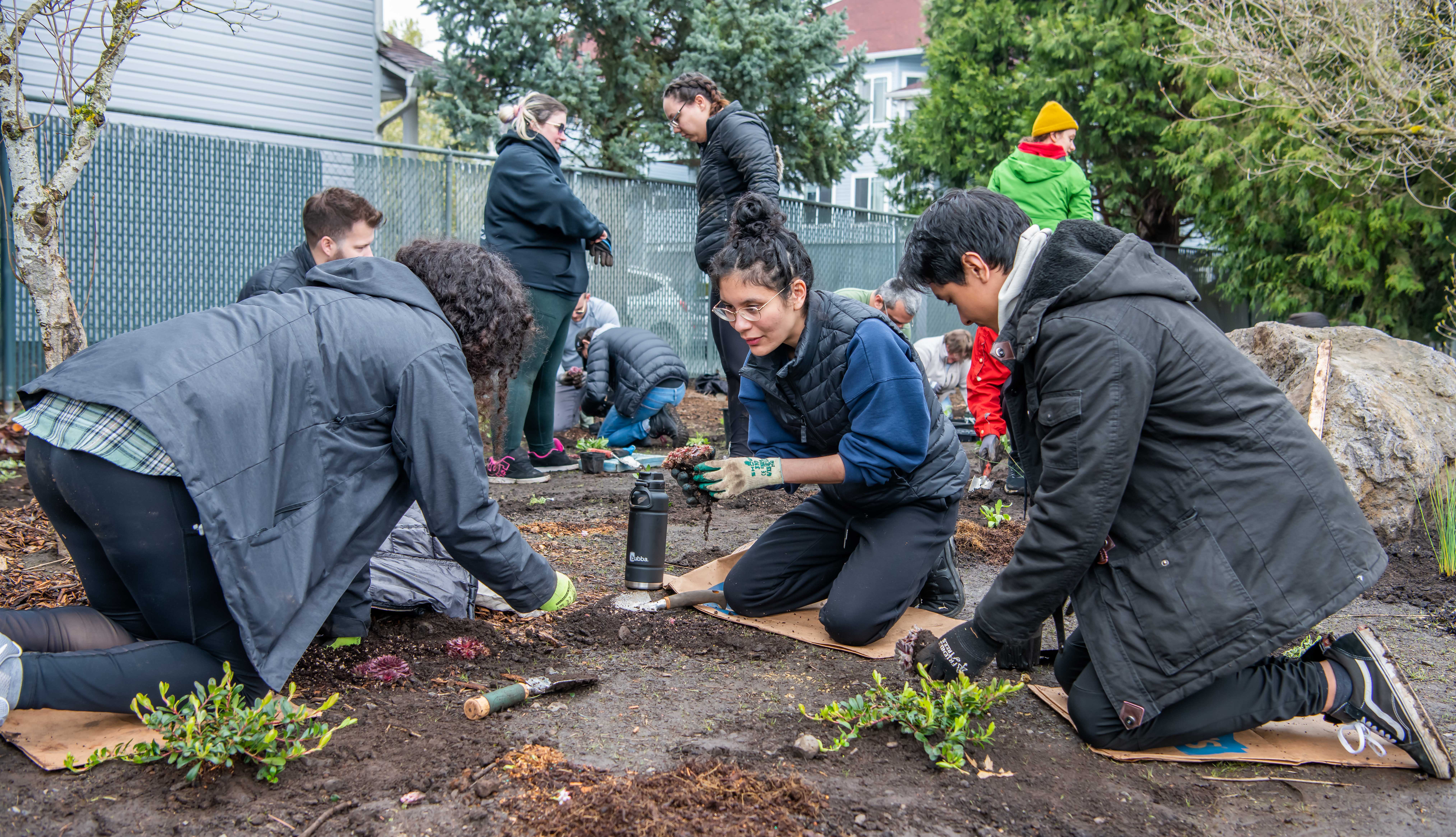 group of volunteers crouches to install plants