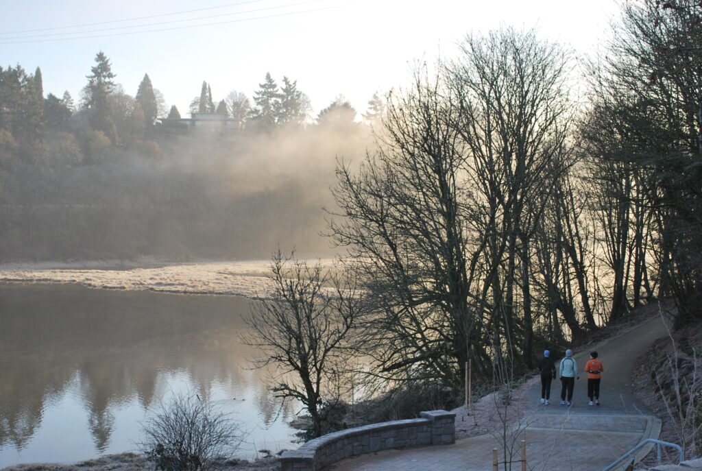 Foggy winter day at Burnt Bridge Creek trail