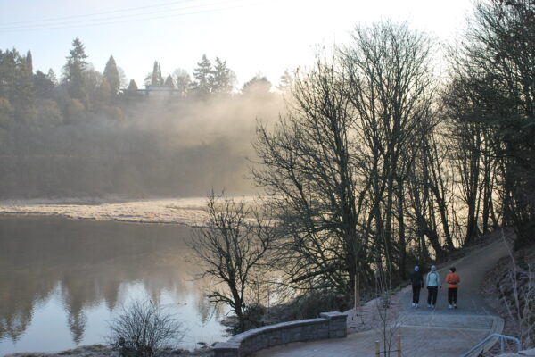 Foggy winter day at Burnt Bridge Creek trail