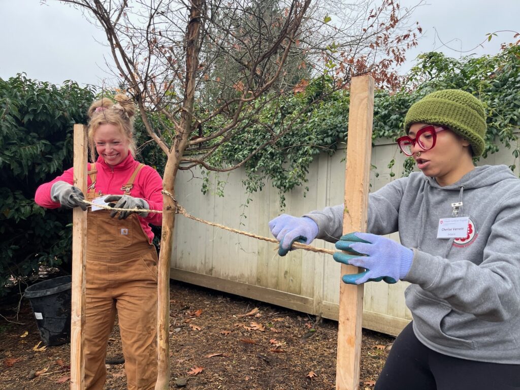 Two volunteers planting trees at Summers Walk Park