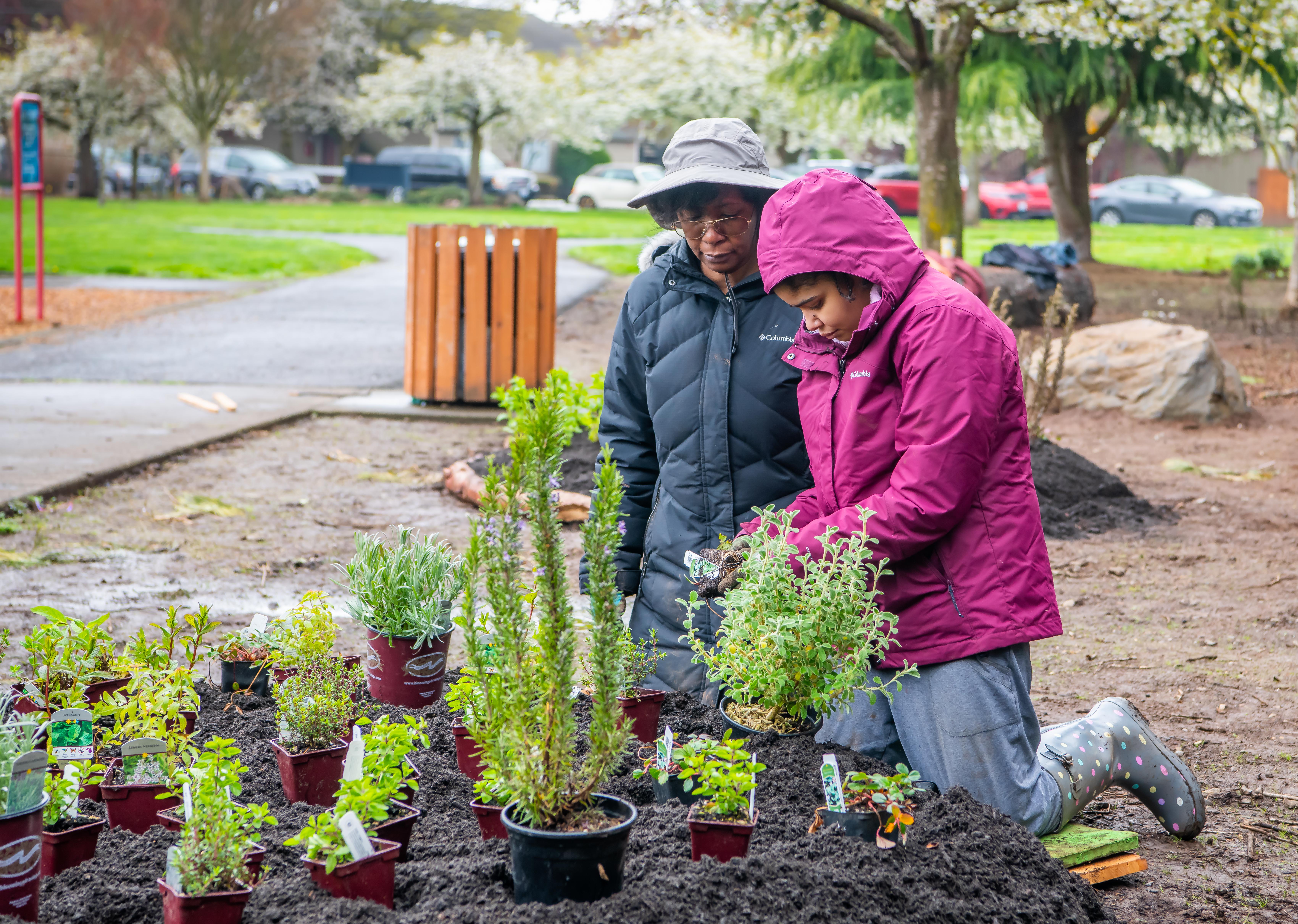 Oakbrook Naturespaces Planting